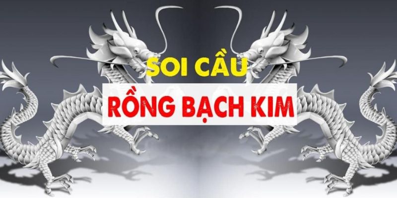 Thông tin về phương pháp lô đề rồng bạch kim