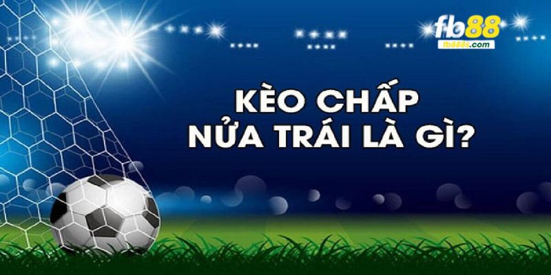 Giới thiệu kèo 0.5/1 trong cá cược bóng đá