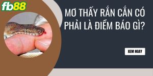 Mơ Rắn Cắn Đánh Con Gì? Cùng Fb88 Giải Mã Mọi Giấc Mộng Về Rắn